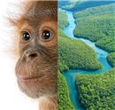 Biodiversity day